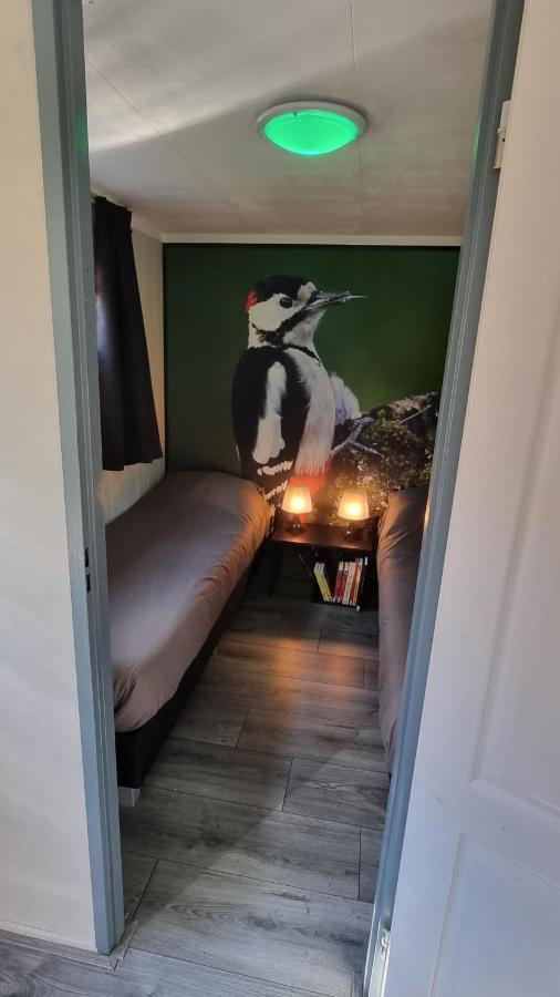 De Bonte Specht Hotel Hattemerbroek ภายนอก รูปภาพ